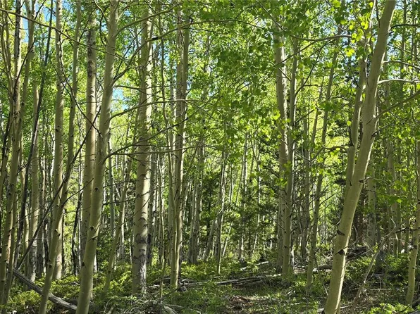 Lot 6708 Debbie Road, Fort Garland, CO 81133