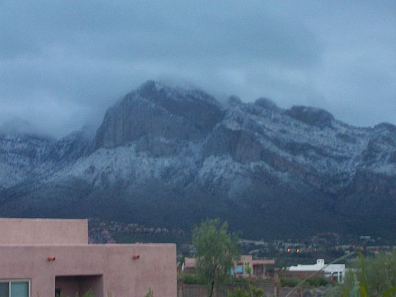 Winter View from back patio.