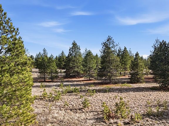 4th image of 0 N Dover Rd Lot 1