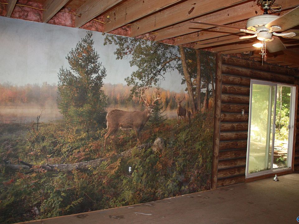 A 507 County Rd, Hollytree, AL 35751 MLS 1839093 Zillow