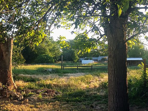 Back Pasture