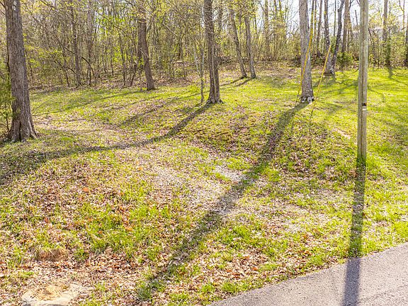 5th image of 158 Wild Rose Dr