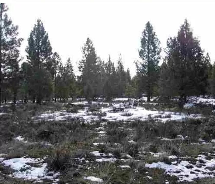2nd image of Misty Mountain 5 Lot