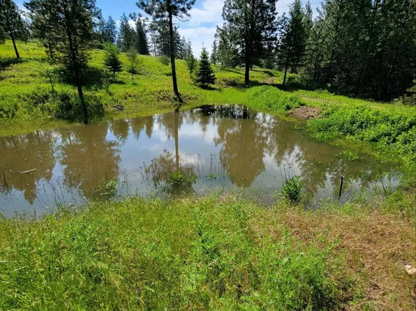 Kna Deer Meadow Ln, Chattaroy, WA 99003