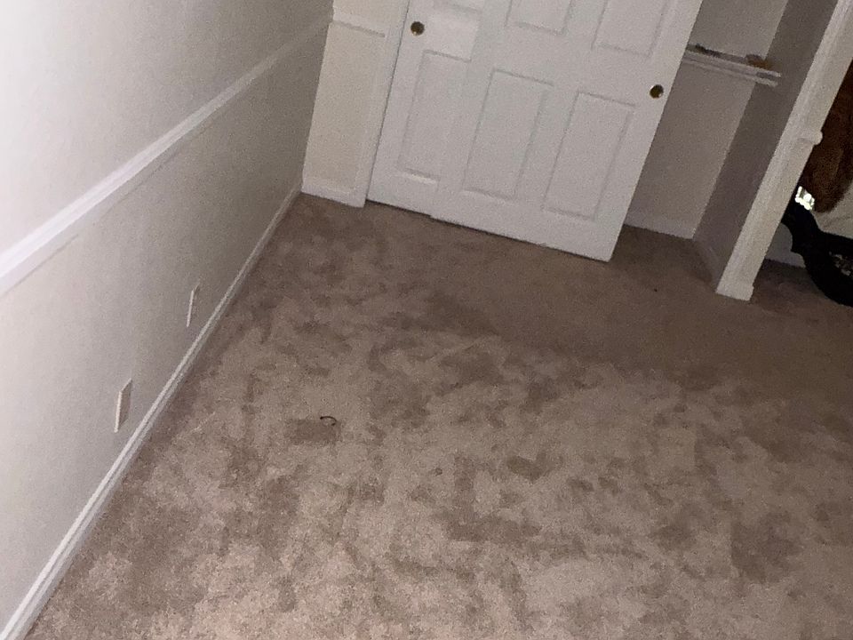 1st image of 2438 El Paseo Cir #1