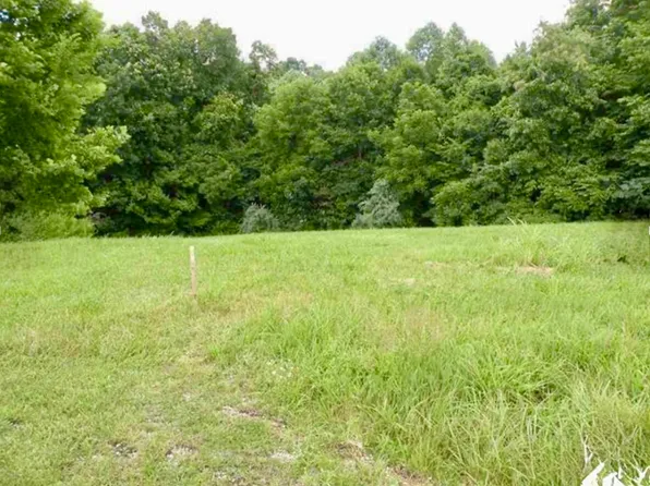 LOT 14 Corinne Dr, Eddyville, KY 42038
