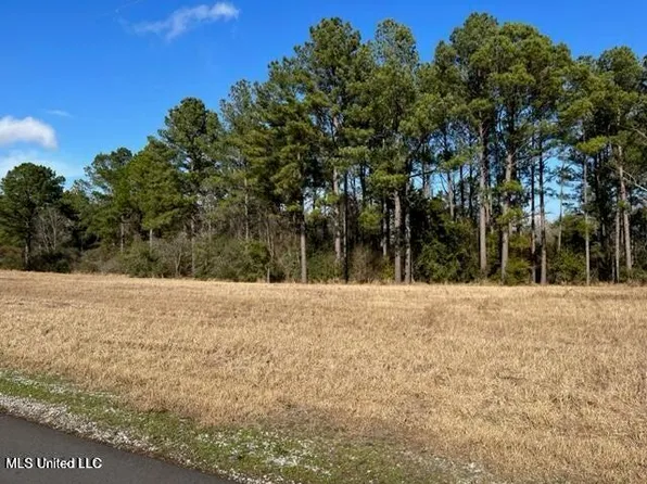 Southern Hills Dr Parcel 1, Lucedale, MS 39452