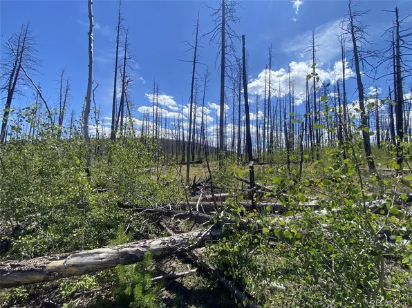 1637 Cary Lane, Fort Garland, CO 81133