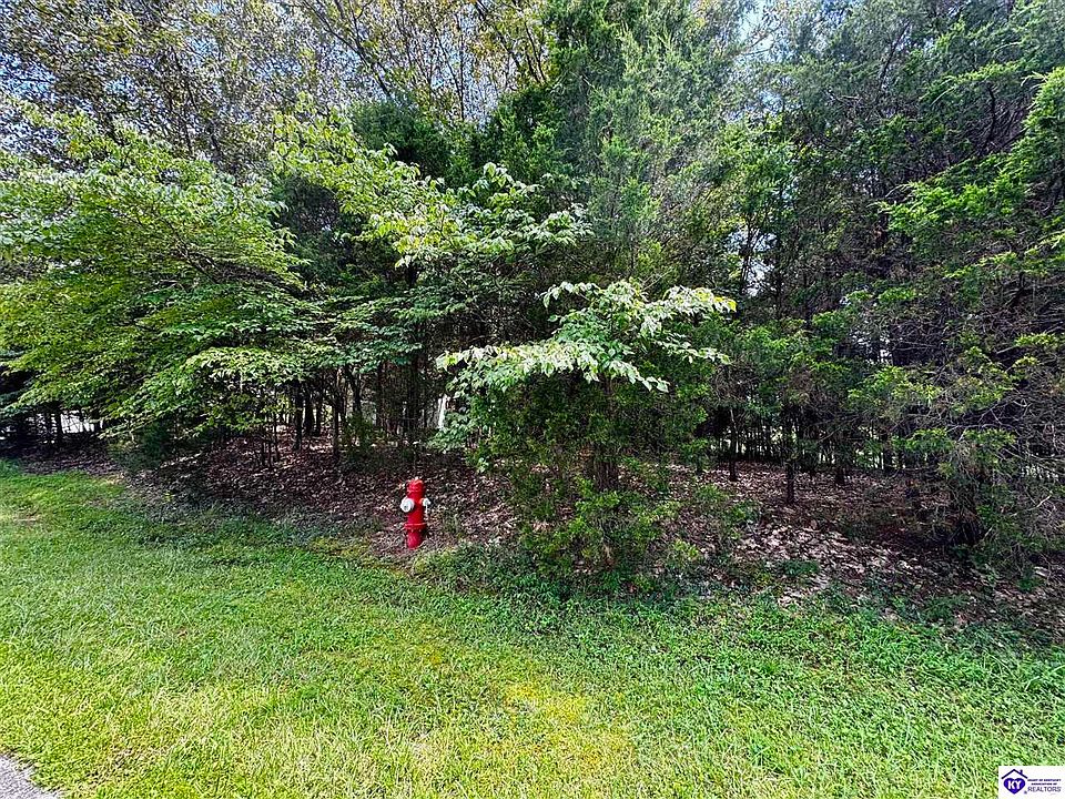 2nd image of LOT 240 Warbler Rd