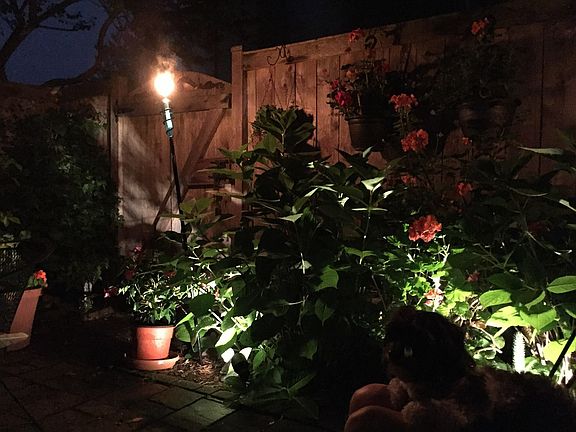 Patio at night.