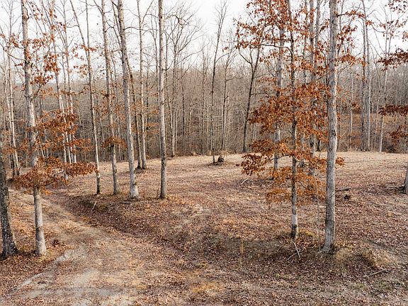 5th image of 4 Pinewood Rd