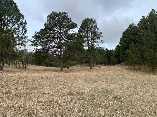 Buckhorn Estates Dr, Custer, SD 57730