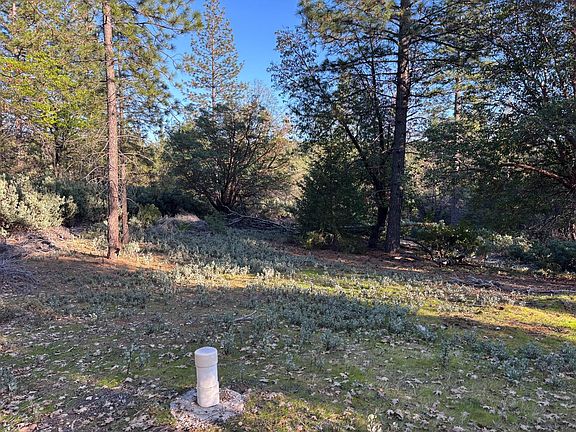 2nd image of 4110 Pine Mountain Rd