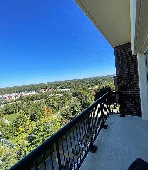 9727 Mount Pisgah Rd — Photo 219