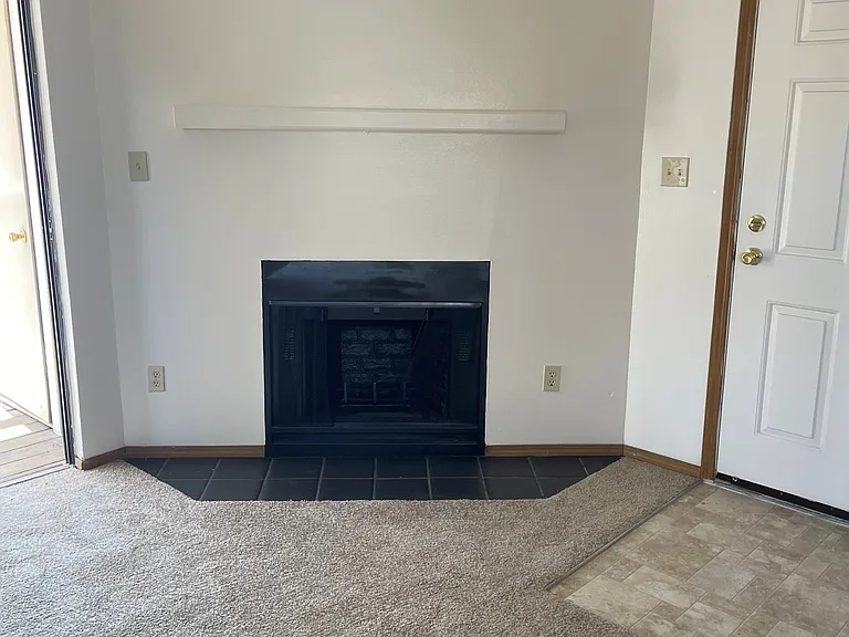 Woodburning fireplace