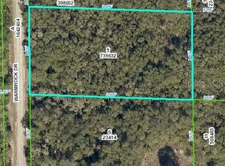 Warmrock Dr, Webster, FL 33597
