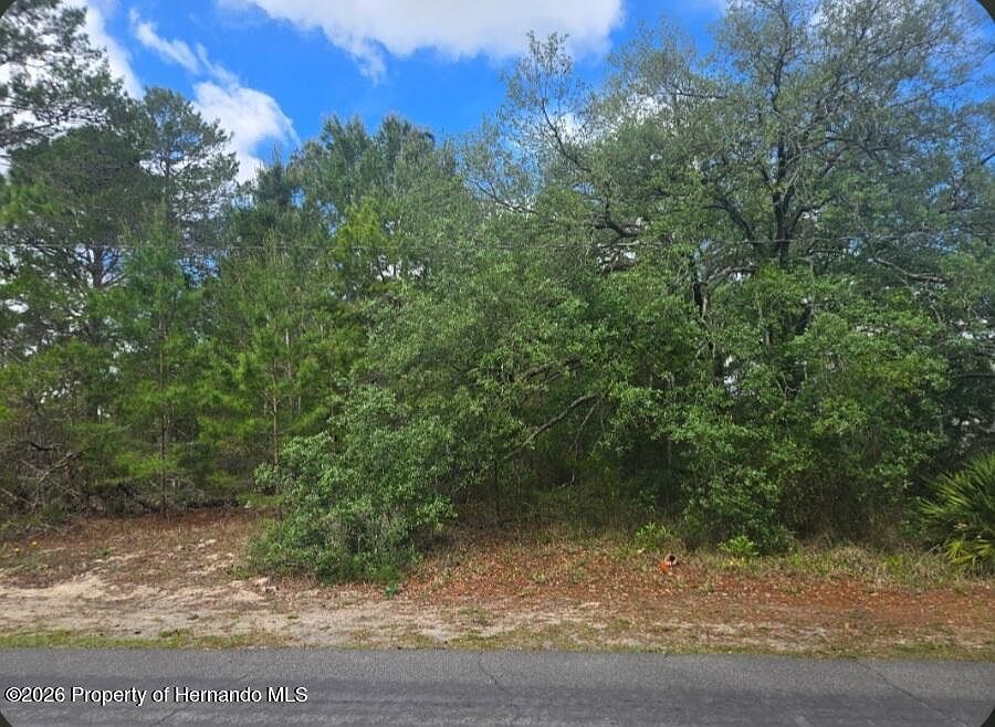 2nd image of 4113 Portillo Rd