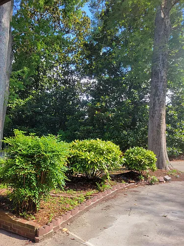 914 Riverside Ave Photo 1