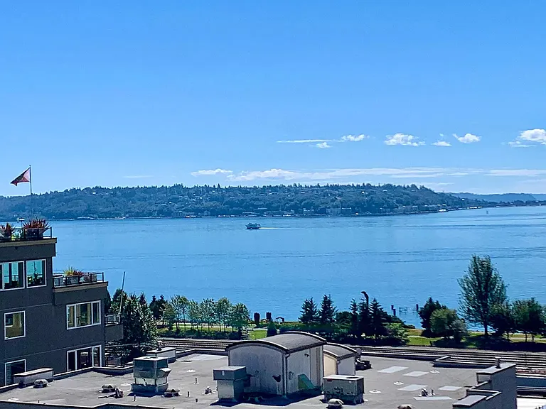 View from living room #1