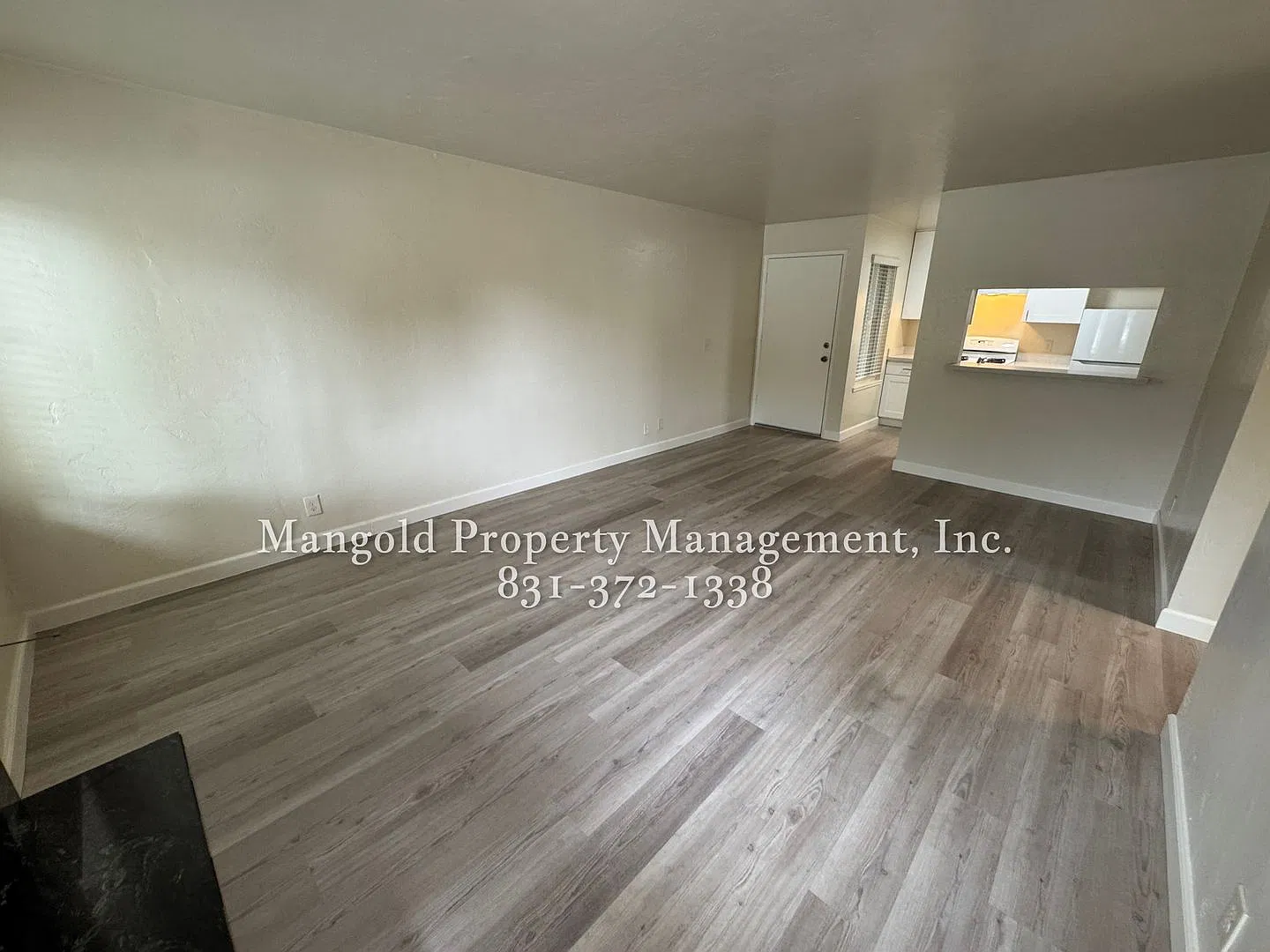 245hill — Photo 4