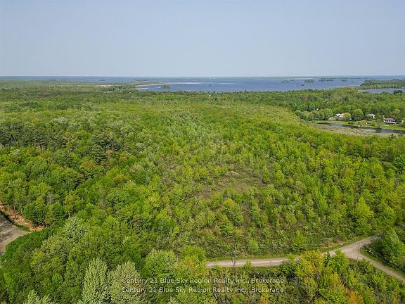 3rd image of LOT 4 Riddle Rd