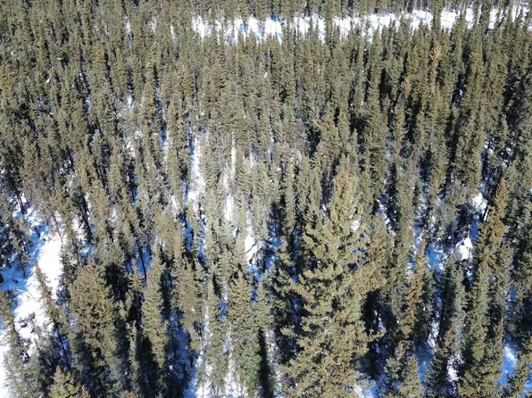 Nhn Harding Dr, Salcha, AK 99714