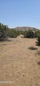 Easy St, Acton, CA, 93510
