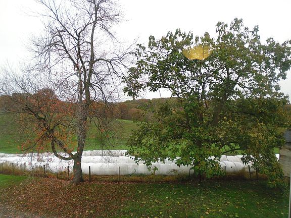 View from back bedroom