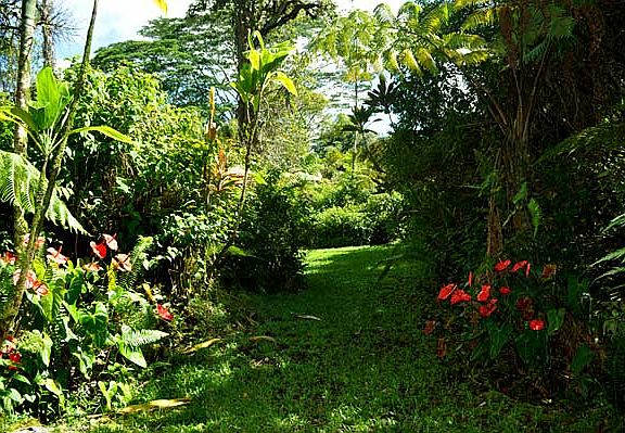 4th image of Oneloa St Lot 43