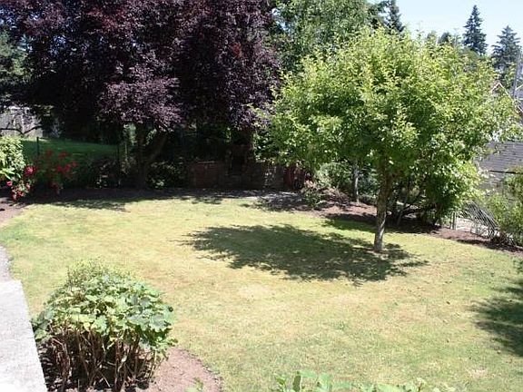 yard with mature fruit tr
