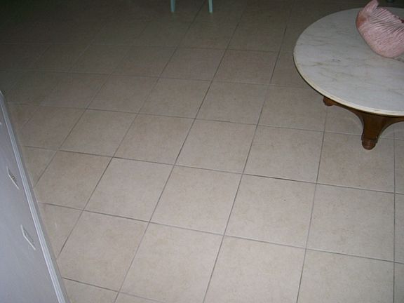 5th image of 751 Pine Dr APT 102