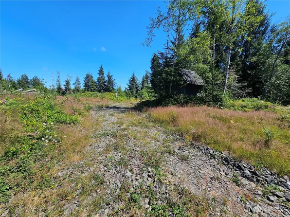 183 Rixon Road, South Bend, WA 98586