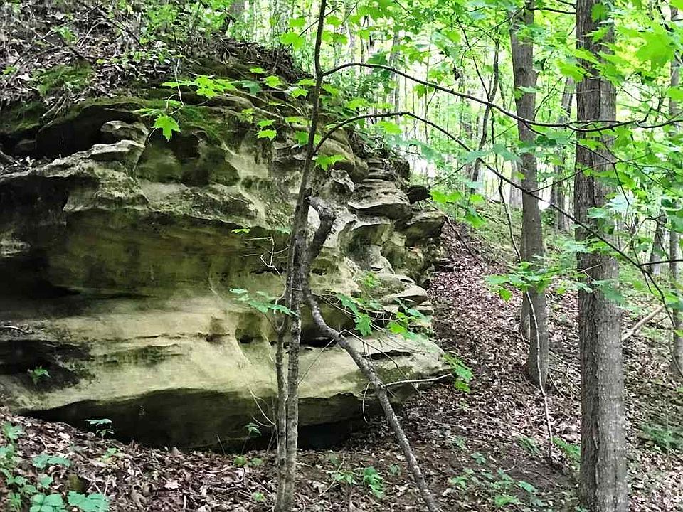 1st image of 81.72 Ac County Rd E