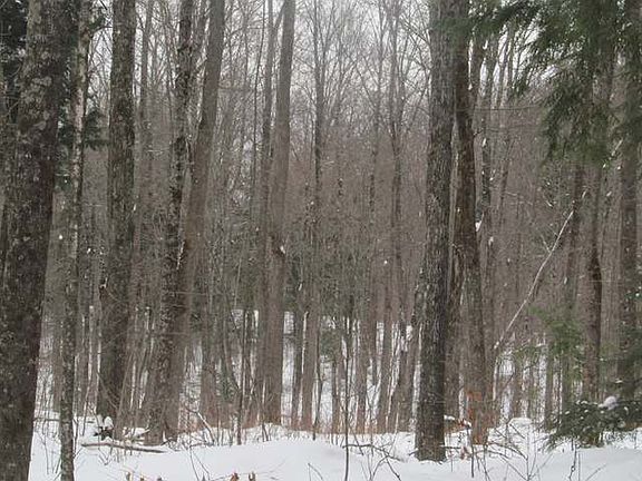 4th image of ON W ENTERPRISE LAKE RD #21 Acres