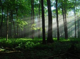 0 Monticello Ln, Cottageville, SC 29435