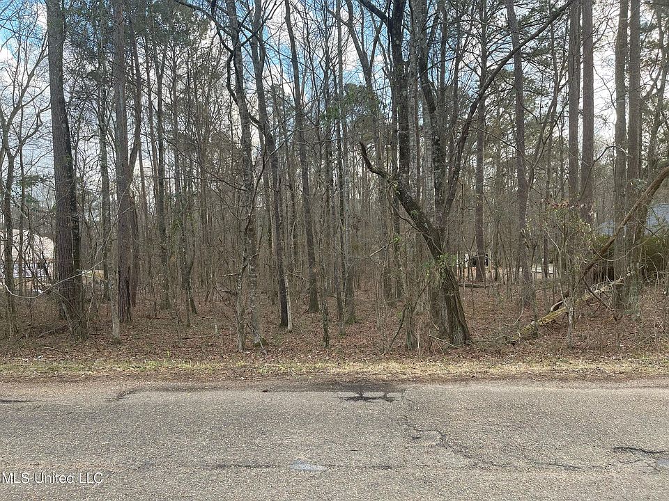 2nd image of Pinedale Rd Lot 32