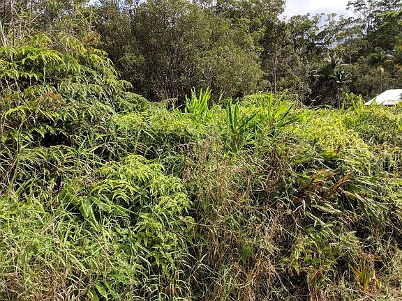 3rd image of 18-1975 Ohia Nani Rd Lot 8