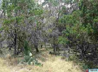 416 Prickley Pear, Killeen, TX 76543