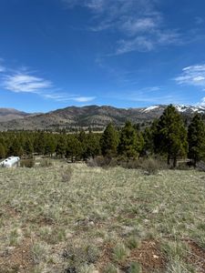 0 NON DISCLOSED, Loyalton, CA, 96118