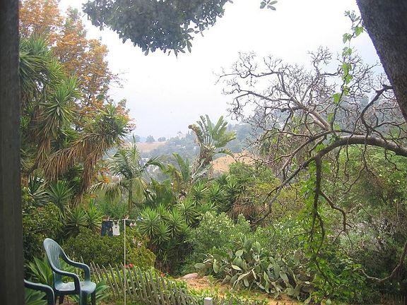 View from living room