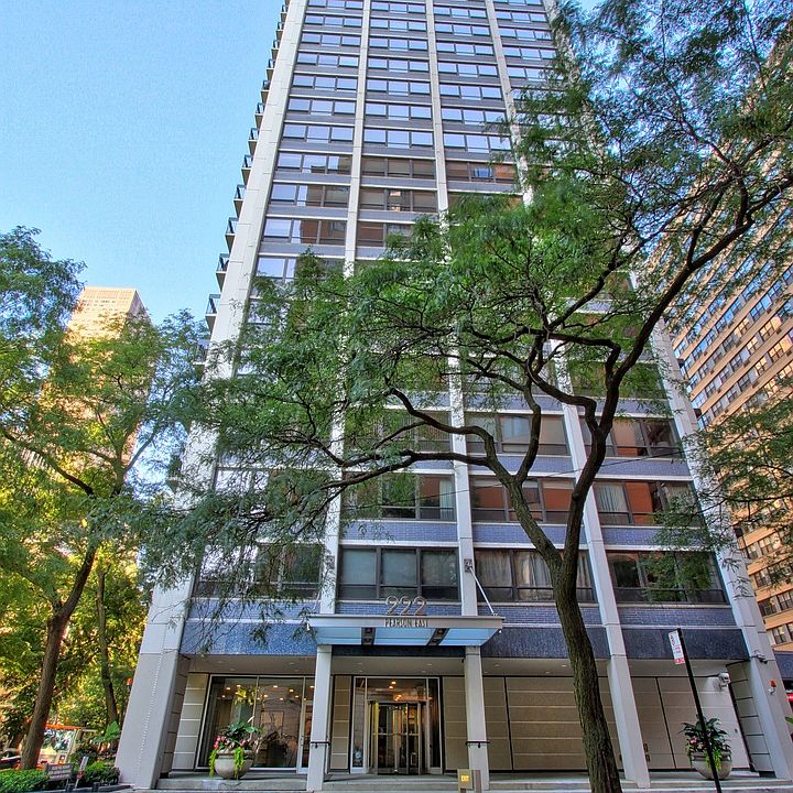 1st image of 222 E Pearson St APT 2306