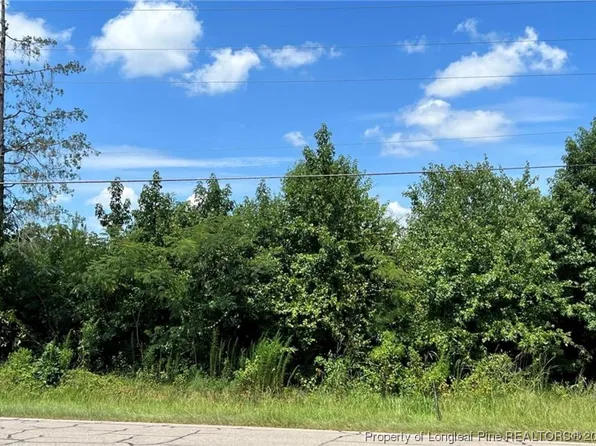 0 Lemon Springs Rd, Sanford, NC 27332