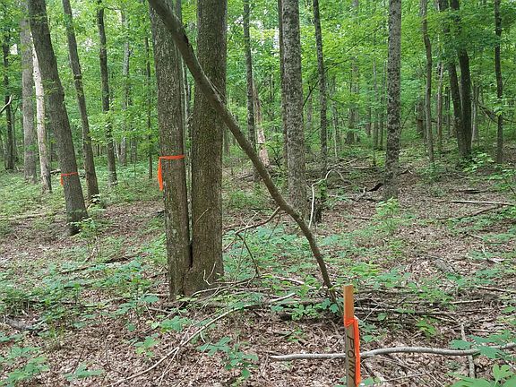 4th image of 317 Oesterman Dr Lot 2