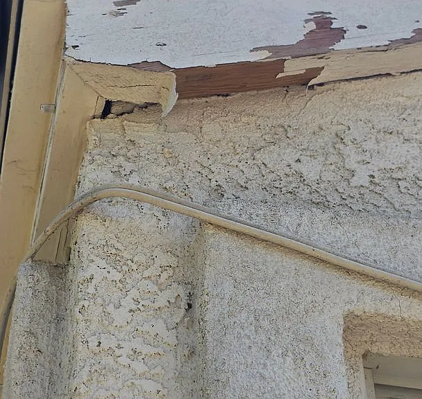 28886 Champions Dr — Photo 17