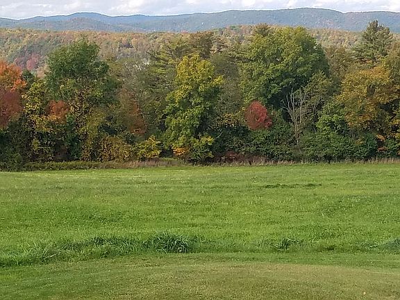 The view