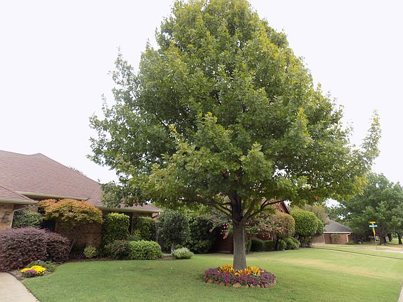 5th image of 2009 Winona Dr