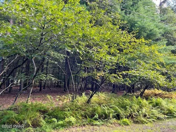 LOT-235A Hound Rd, Dingmans Ferry, PA 18328