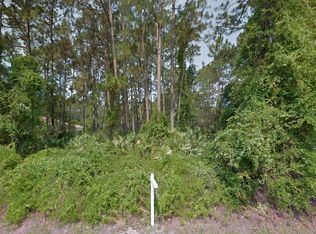 176 Ullian Trl, Palm Coast, FL 32164