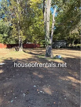 205 Beaver Street - 1 — Photo 2