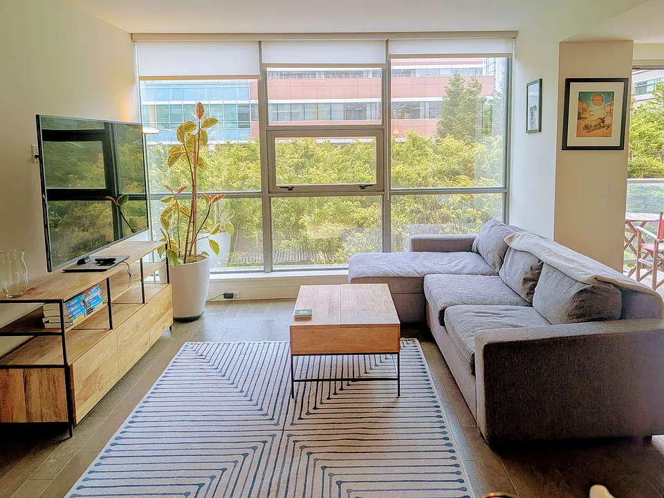 480 Mission Bay Blvd #317